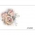 FLORAL BEAUTIES GREETING CARD Pampas Rose 2